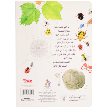 ارفع الطيات واكتشف - عالم الحشرات