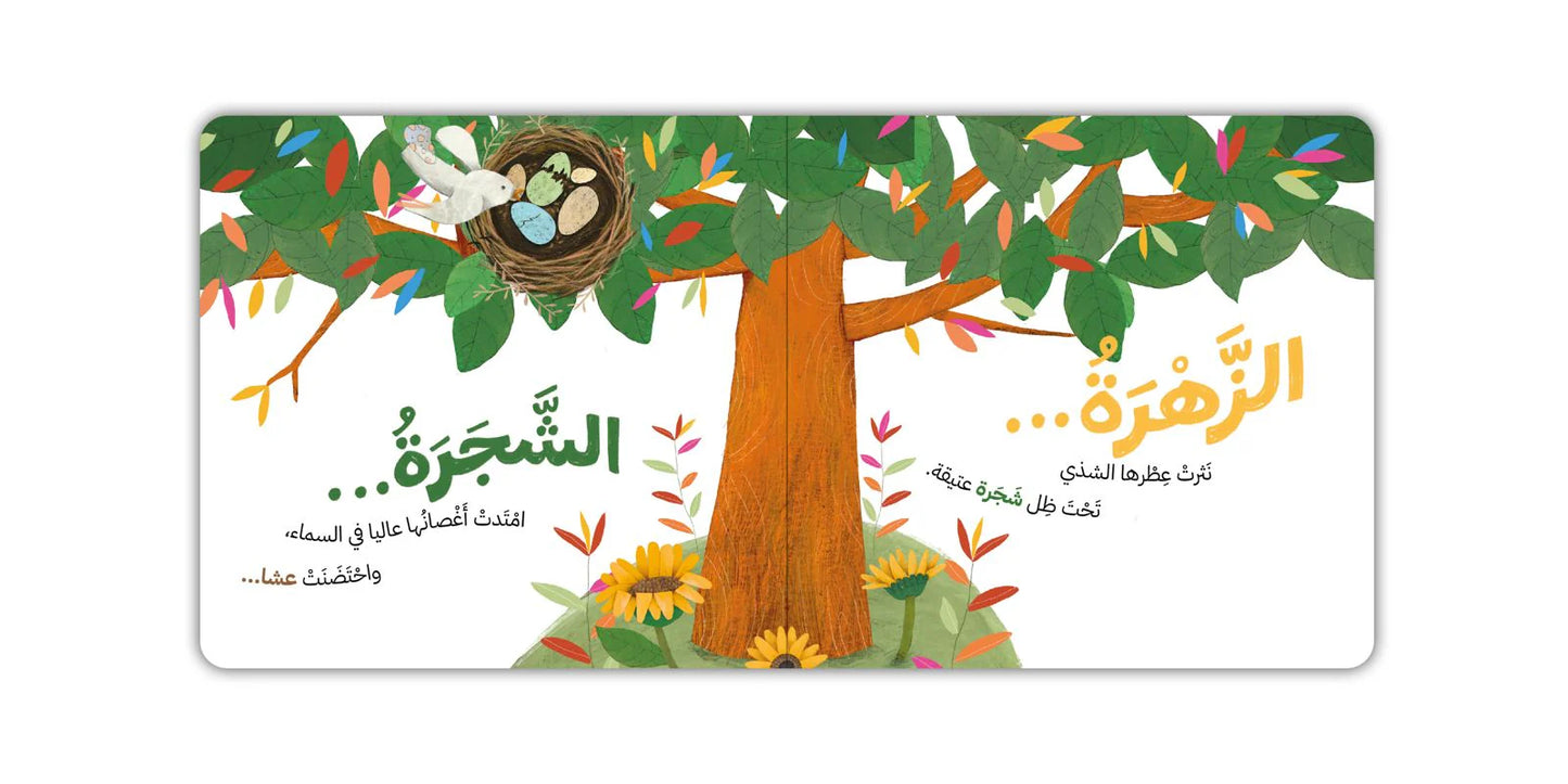 خلف النافذة