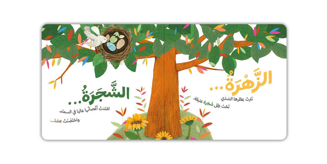 خلف النافذة