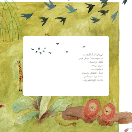 مجموعات