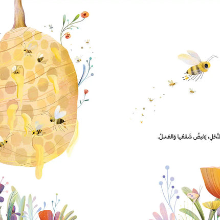 بيوت Homes