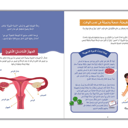 دي دي - كتاب عن النمو عند الفتيات