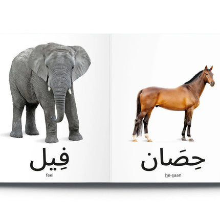 My First Words كلماتي الأولى