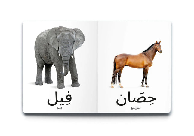 My First Words كلماتي الأولى