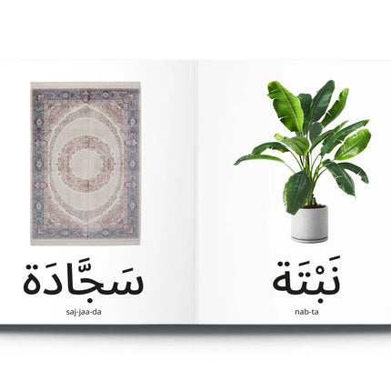 My First Words كلماتي الأولى