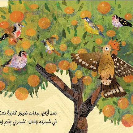 Talal & The Land of Oranges طلال وأرض البرتقال