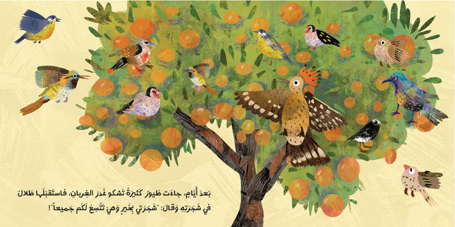 Talal & The Land of Oranges طلال وأرض البرتقال