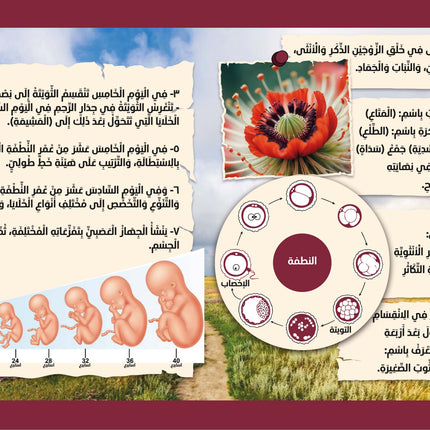 سلسلة الإعجاز العلمي في القرآن الكريم