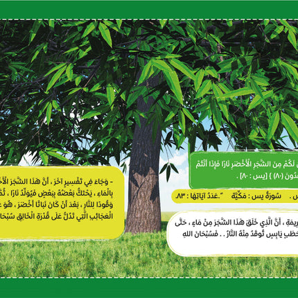 سلسلة الإعجاز العلمي في القرآن الكريم