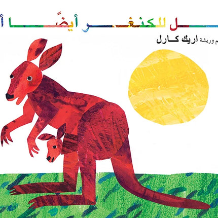 هل للكنغر أيضا أم؟