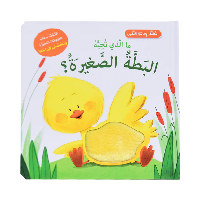 أتعلم بحاسة اللمس - ما الذي يحبه الحيوانات الصغيرة