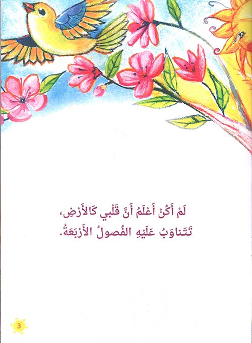 قلبي الفصول الأربعة